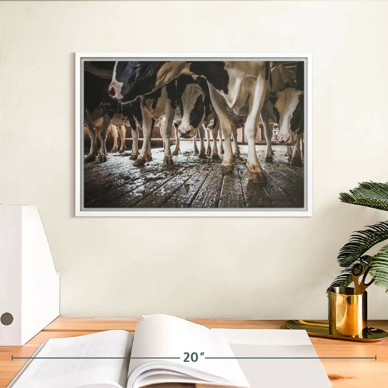 Sabots de vache en noir et blanc, Cadre flottant blanc, 13 po x 9 po