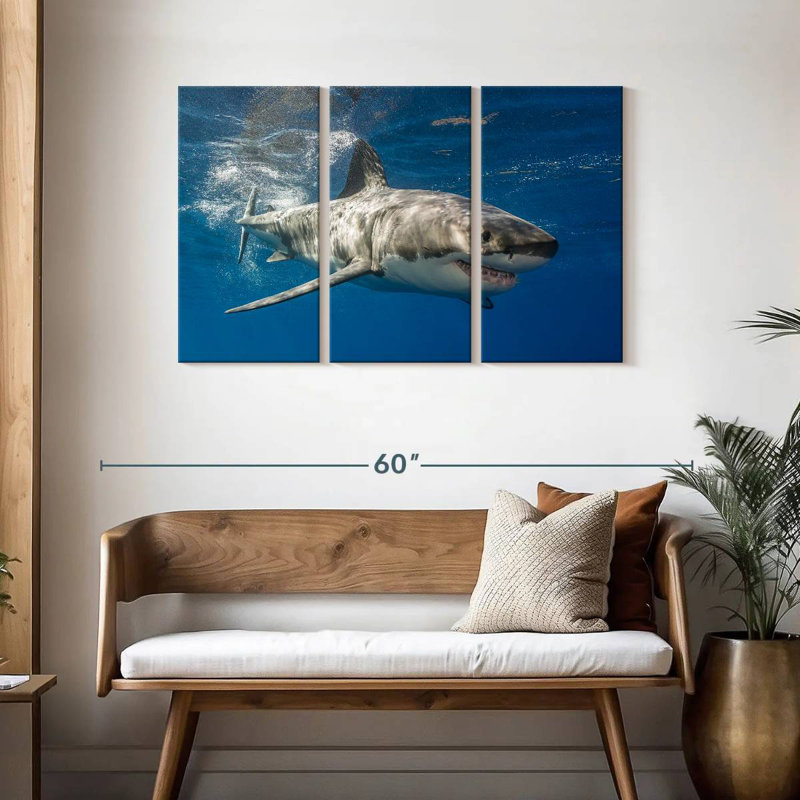 Shark, 28" H x 45" W