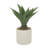 31'' Faux Agave Plant in Pot