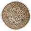 Oriental Area Rug in Gold