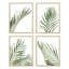 Ensemble de 4 feuilles de palmier vert du désert, ensemble de 4 reproductions murales encadrées-93012079-93012081