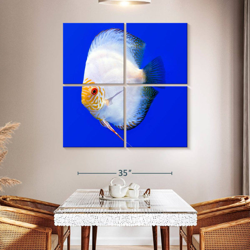 Brampt Pompadour Discus Fish, 45" H x 45" W