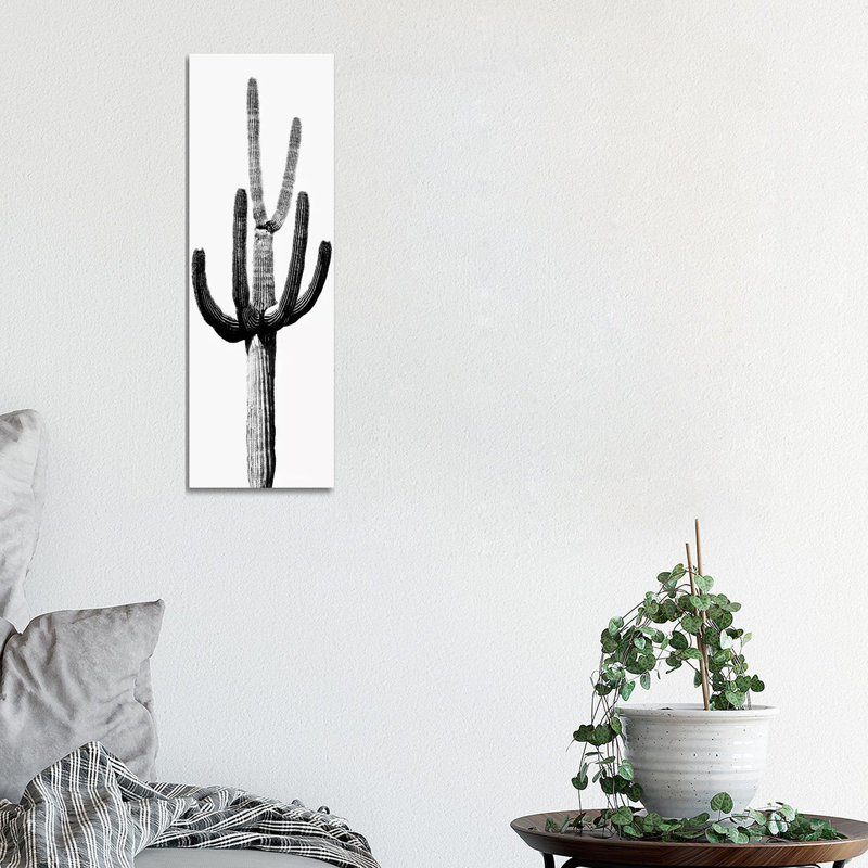 Black & White Saguaro Cactus III by Mia Jensen - Wrapped Canvas Panoramic Painting, 30.48 cm H x 91.44 cm W x 1.91 cm D
