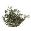 77cm Faux Olive Tree Tree in Pot