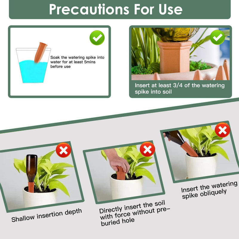 Edge Collections Watering Can