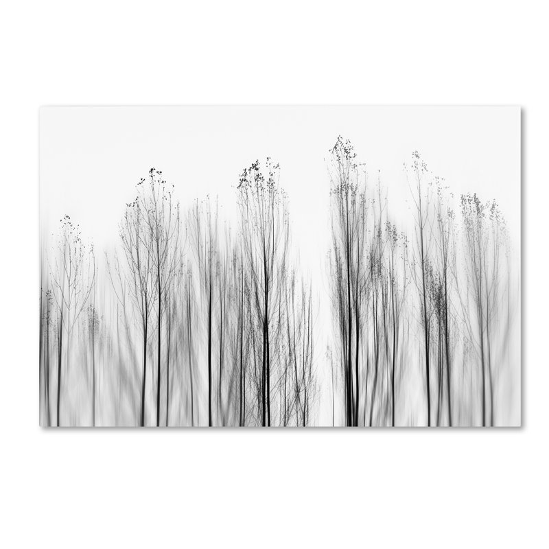 « no motives », reproduction d’impression sur toile tendue, H 12 po x l 19 po