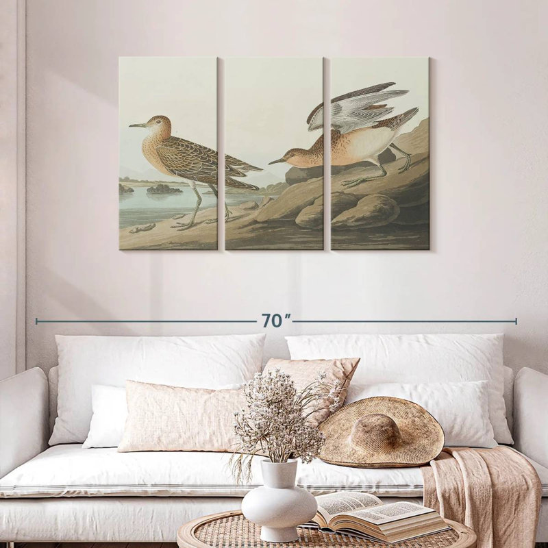 Brampt Buff Breasted Sandpiper, 28" H x 45" W