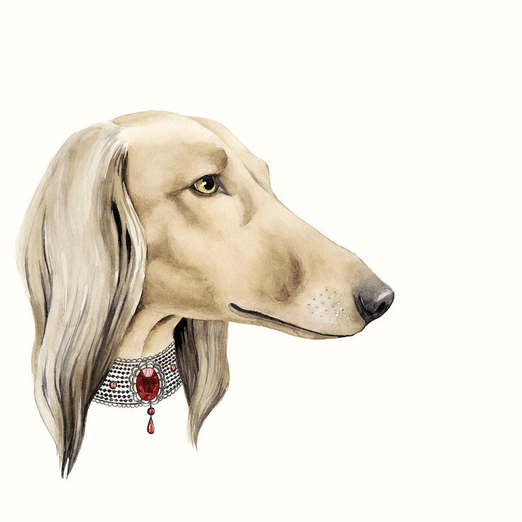 « haute hounds iv », reproduction d’art sur toile, H 18 po x l 18 po x P 1,5 po, Toile avec cadre noir, Pas de tapis