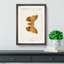 Polyphemus Moth by S.F. Denton - Picture Frame Painting Print-55601835-55601837