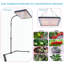 Maker Network Grow Light