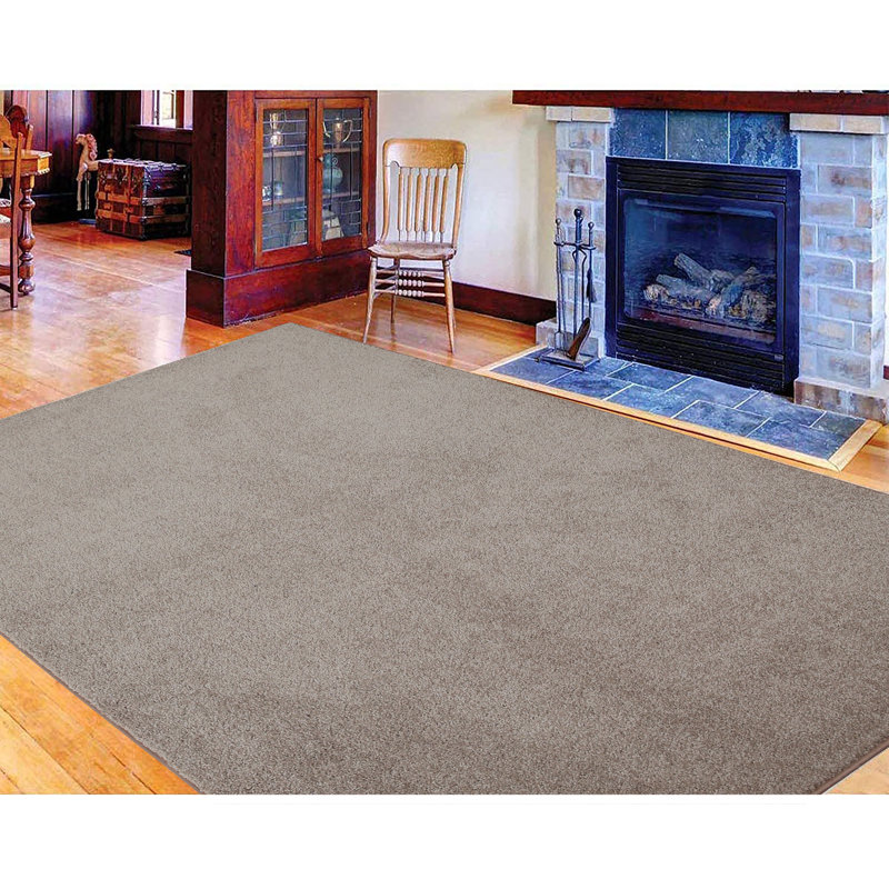 Modern Plush Pet and Kids Friendly Solid Color Beige Area Rugs, Stain & Fade Resistance, Perfect for Living Room, Dining Room, Bedroom, Playroom and Kidsroom, Event, Wedding, Southwest Rug