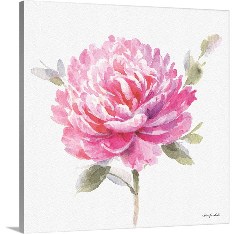 Visiblement rose 03 par Lisa Audit - reproduction d'art, Toile tendue, H 20 po x l 20 po x P 1,25 po