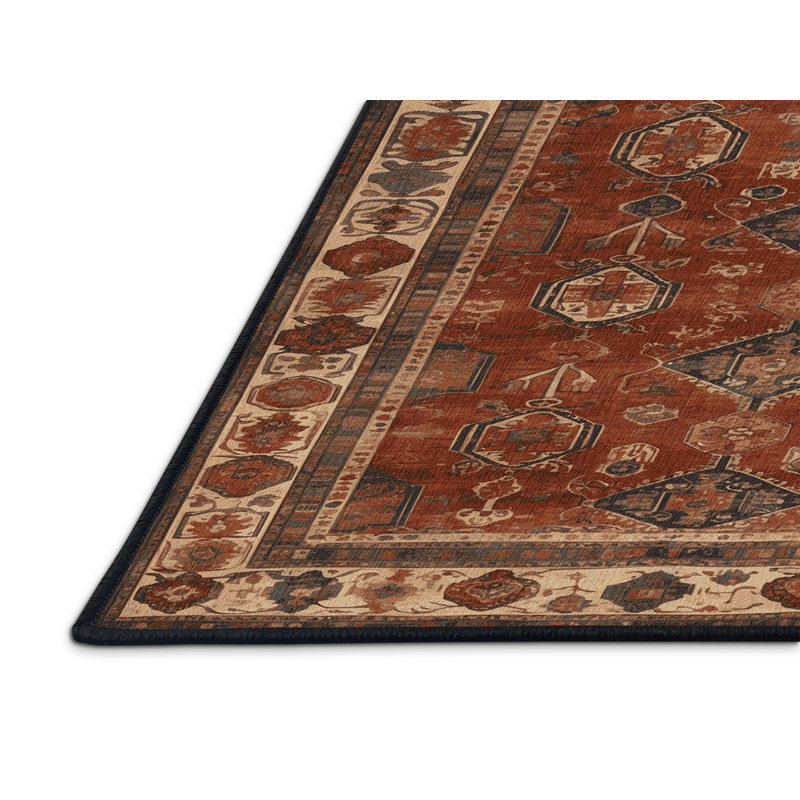 Machine Washable Turkish Brown Area Rug, Rectangle 2' x 3'