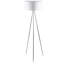 Aguilar 152cm Tripod Floor Lamp-43285804