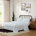 Steer Head Stripe Blue