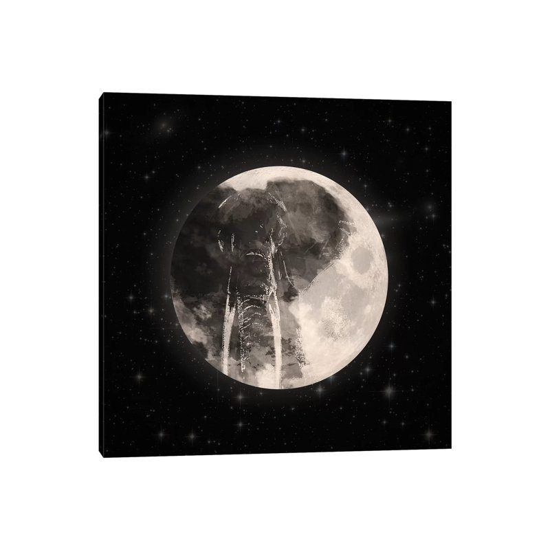 Elephant In The Moon by Paula Belle Flores - Wrapped Canvas Print, 66.04 cm H x 66.04 cm W x 1.91 cm D