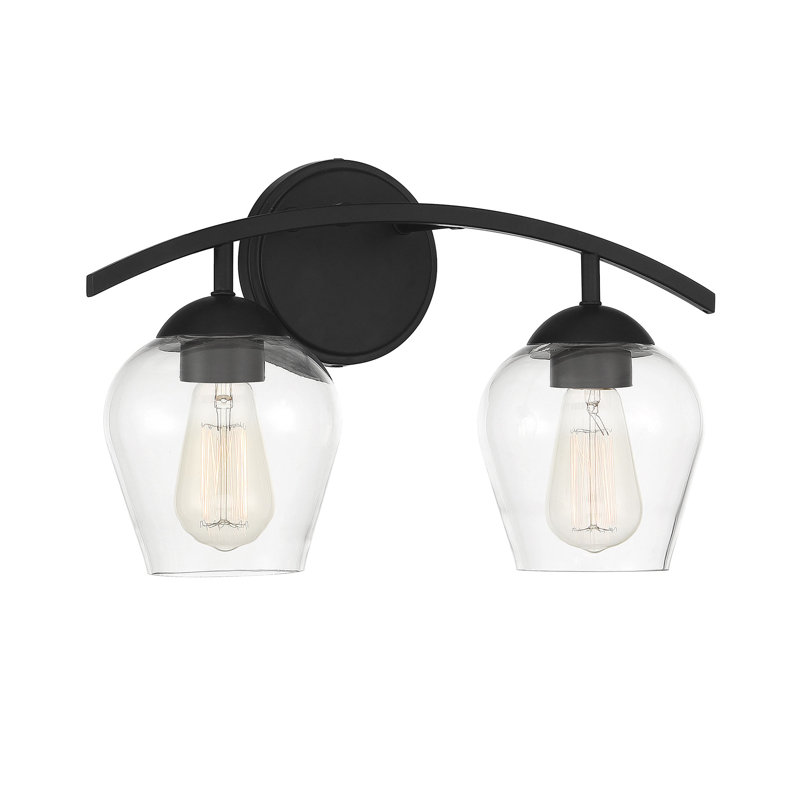 Schoenfeld 2-Light Dimmable Vanity Light in Matte Black, Matte Black