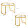 Coffee Table Set