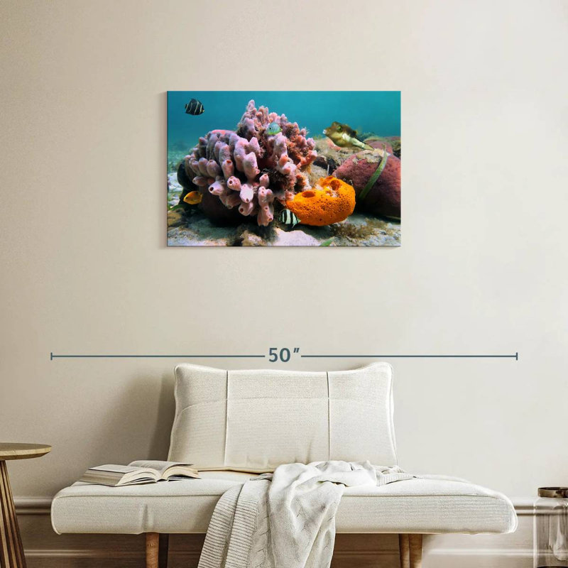 Éponge de mer rose Brampt, H 20 po x l 30 po