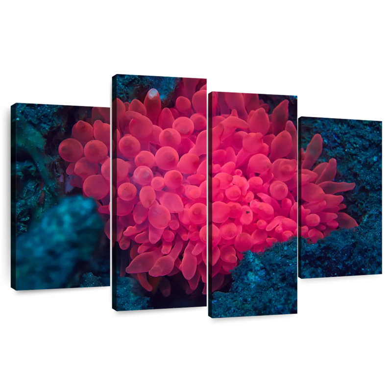 Brampt Pink Coral Reef, 27" H x 43" W