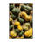 Washable Hubbard Squash Vegetables Area Rug-903575841