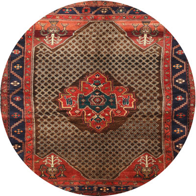 Casslyn Oriental Indoor Rug