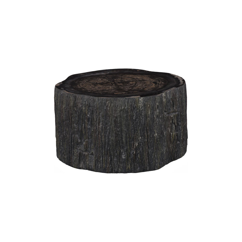 Table basse Chaka Petrified, brute, noire, courte, 15" H x 26" W x 23" D