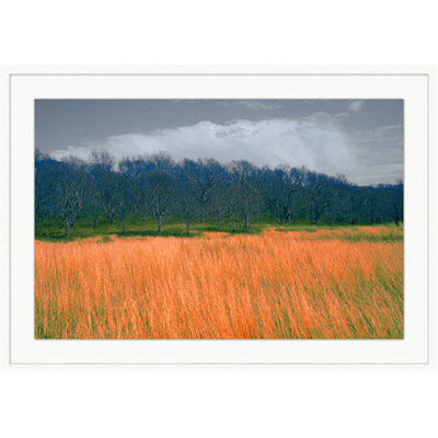 Fields Of Color 4 Painting by Lillian August