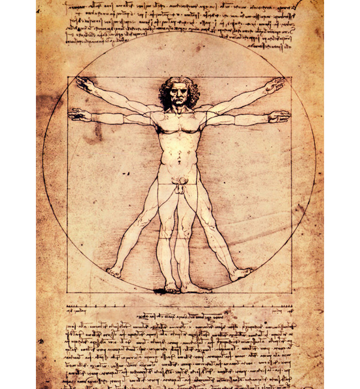 Vitruvian, 1492, H 24 po x l 18 po