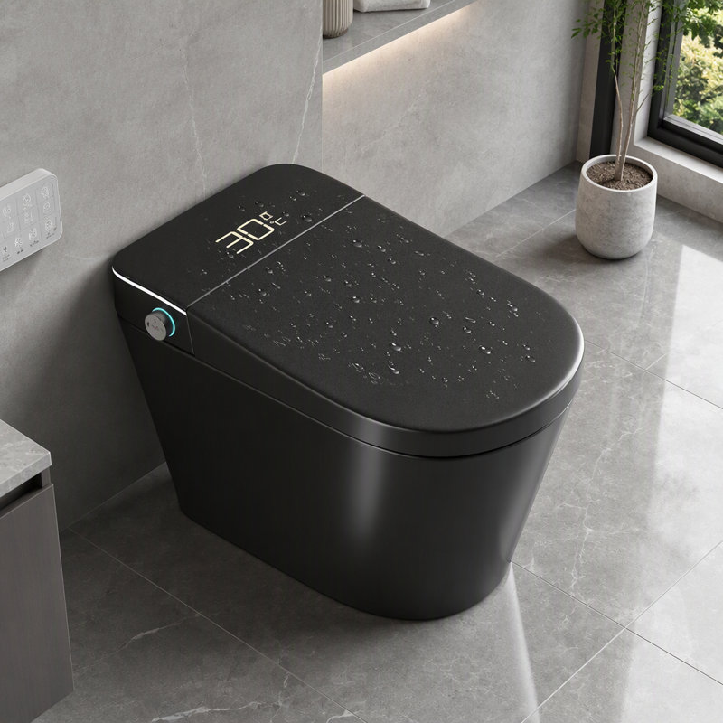 Smart One Piece Toilet with Bidet, Auto Open Close Seat, Dryer and Warm Water