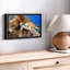 Tortue, impression sur toile-102860303