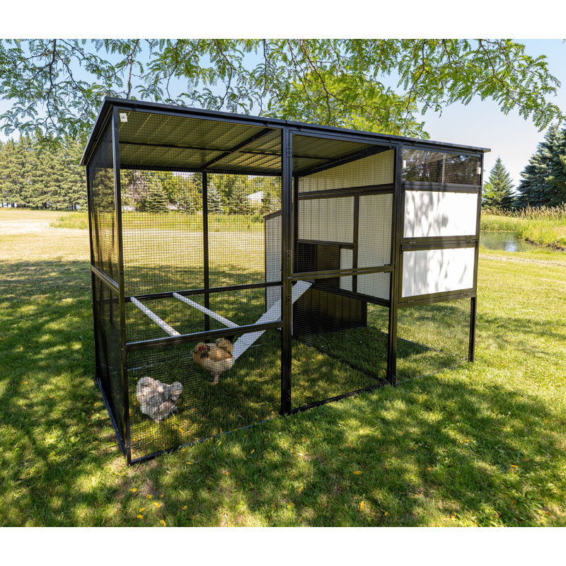 Grand poulailler Modern Ultraguard