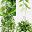 Faux plantes suspendues, petites plantes artificielles en pot pour la décoration intérieure des étagères