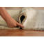 Tapis contemporain contemporain indien