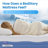 Bedstory 14" Cooling Plush Hybrid Mattress with Pocketed Coils & Double-Zone Support- CertiPUR-US/OEKO-TEX-2117836788-2117836784
