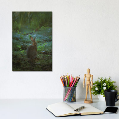 Little One of the Forest 1 Piece Wrapped Canvas Wall Art