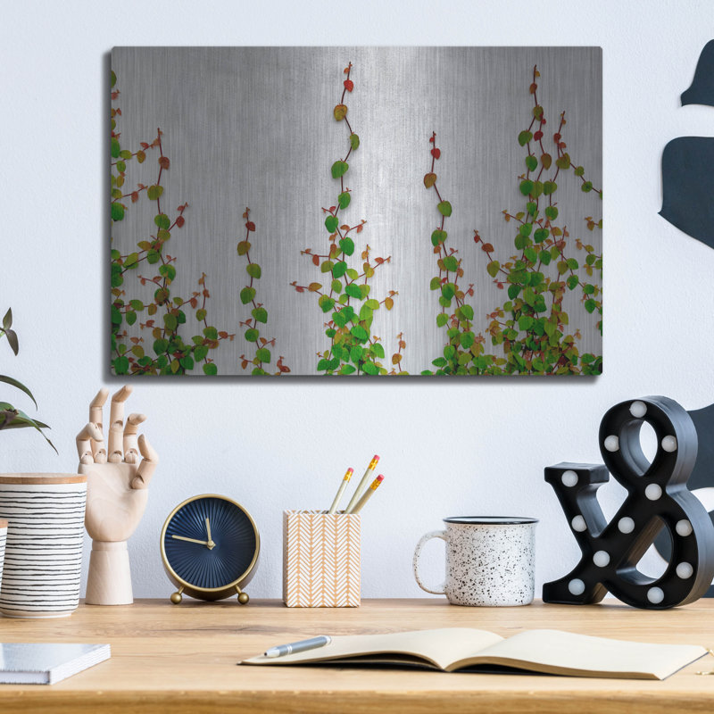 «Vine» par Dennis Frates, H 12 po x l 16 po