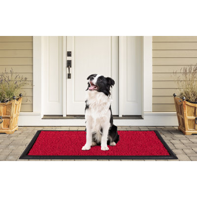 Non-Slip Indoor Doormat