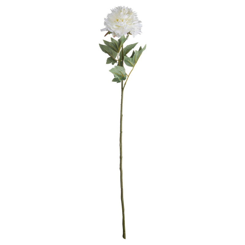 Arrangement