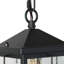 Luminaire suspendu d'extérieur à 1 ampoule H 11,5 po