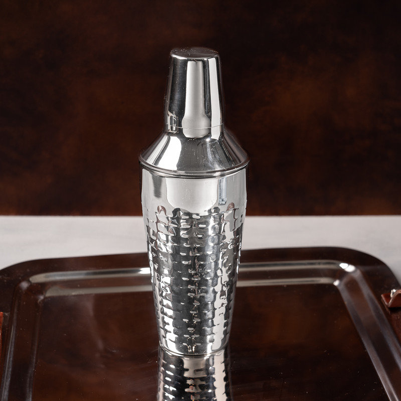 Shaker en acier inoxydable Deloma