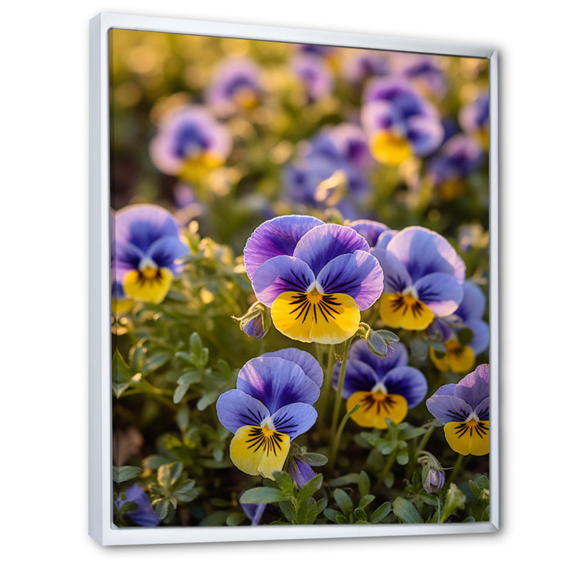 «Mauve, jaune, nature, pensées IV» sur toile, Cadre flottant blanc, H 20 po x l 12 po x P 1 po