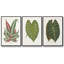 Ensemble de 3 cadres flottants sur toile-11696101-11696103