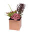 Arrangement de plantes grasses artificielles en pot 7 po