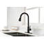 Kitchen Faucet With Pull Out Spraye