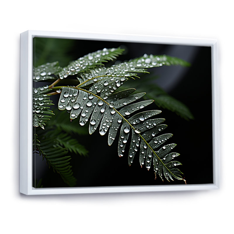 «Ferns Charm in Winter», reproduction sur toile, Cadre flottant blanc, H 24 po x l 32 po x P 1 po