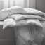 Royal Goose All Season Down Comforter-57290053