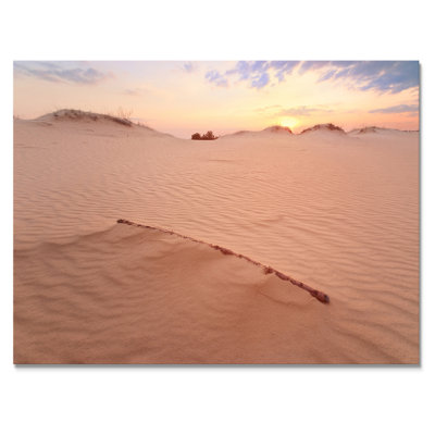 " Sunset On Sand Dunes "