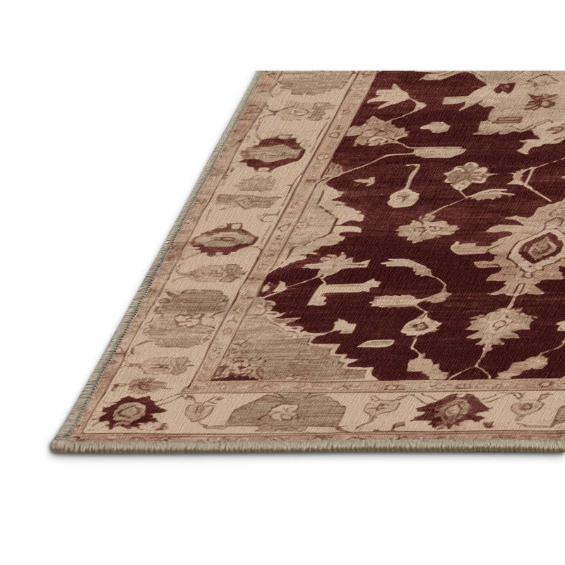 Machine Washable Overdyed Brown Area Rug, Rectangle 2' x 3'