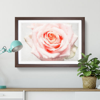 Pale Pink Rose - Picture Frame Graphic Art Print